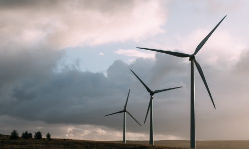 4 benefícios da energia eólica para o Brasil