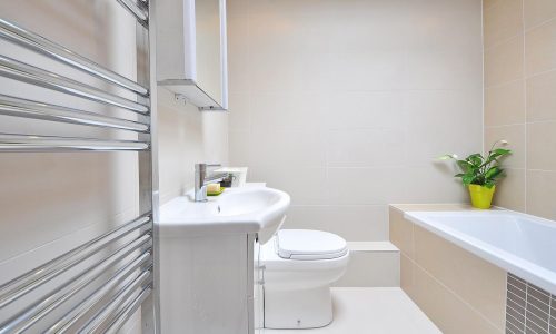 Como decorar um banheiro aproveitando os espaços? – Confira dicas essenciais